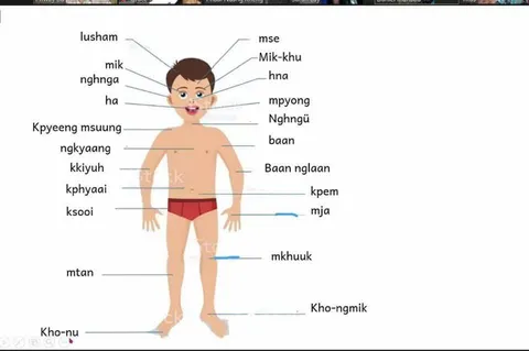 Body parts in Daai language