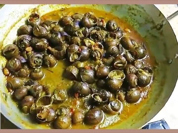 Snail